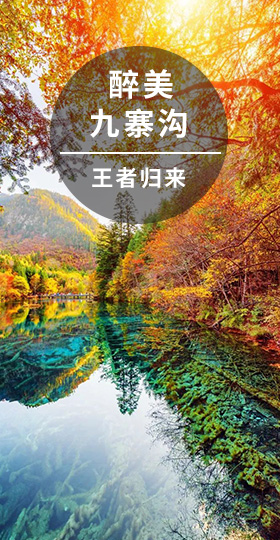 国内游